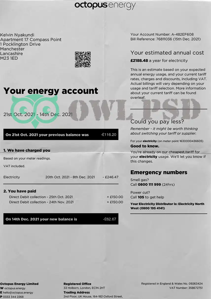 UK Octopus Energy Template preview image 1