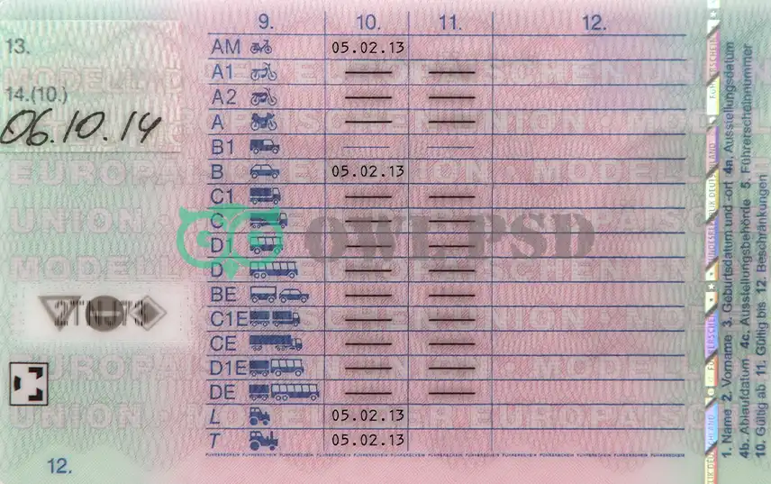 Germany Driver License Template 2013 preview image 1