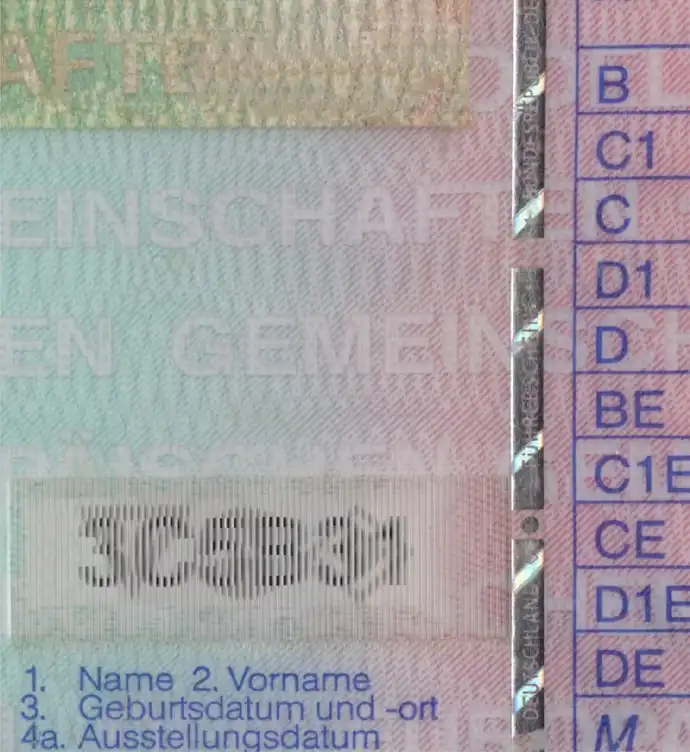 Germany Driver License Template 2001 preview image 2