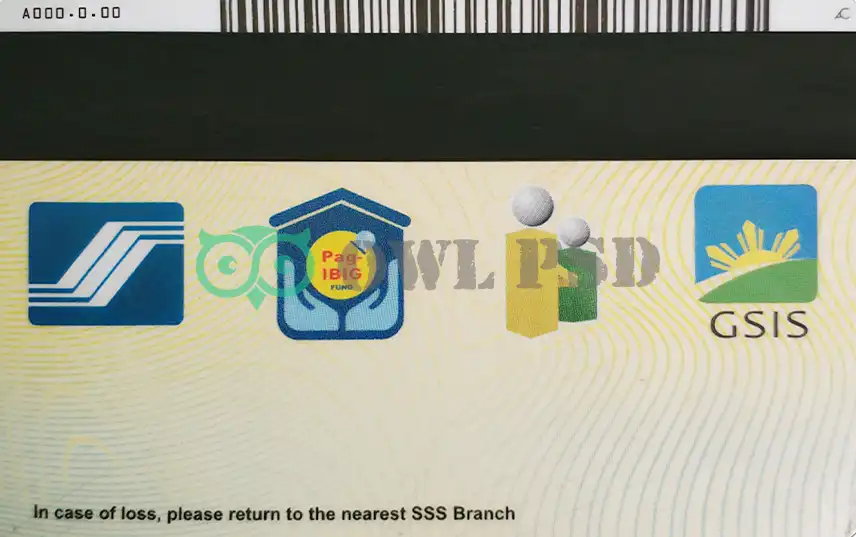 Philippines ID Card Template preview image 2