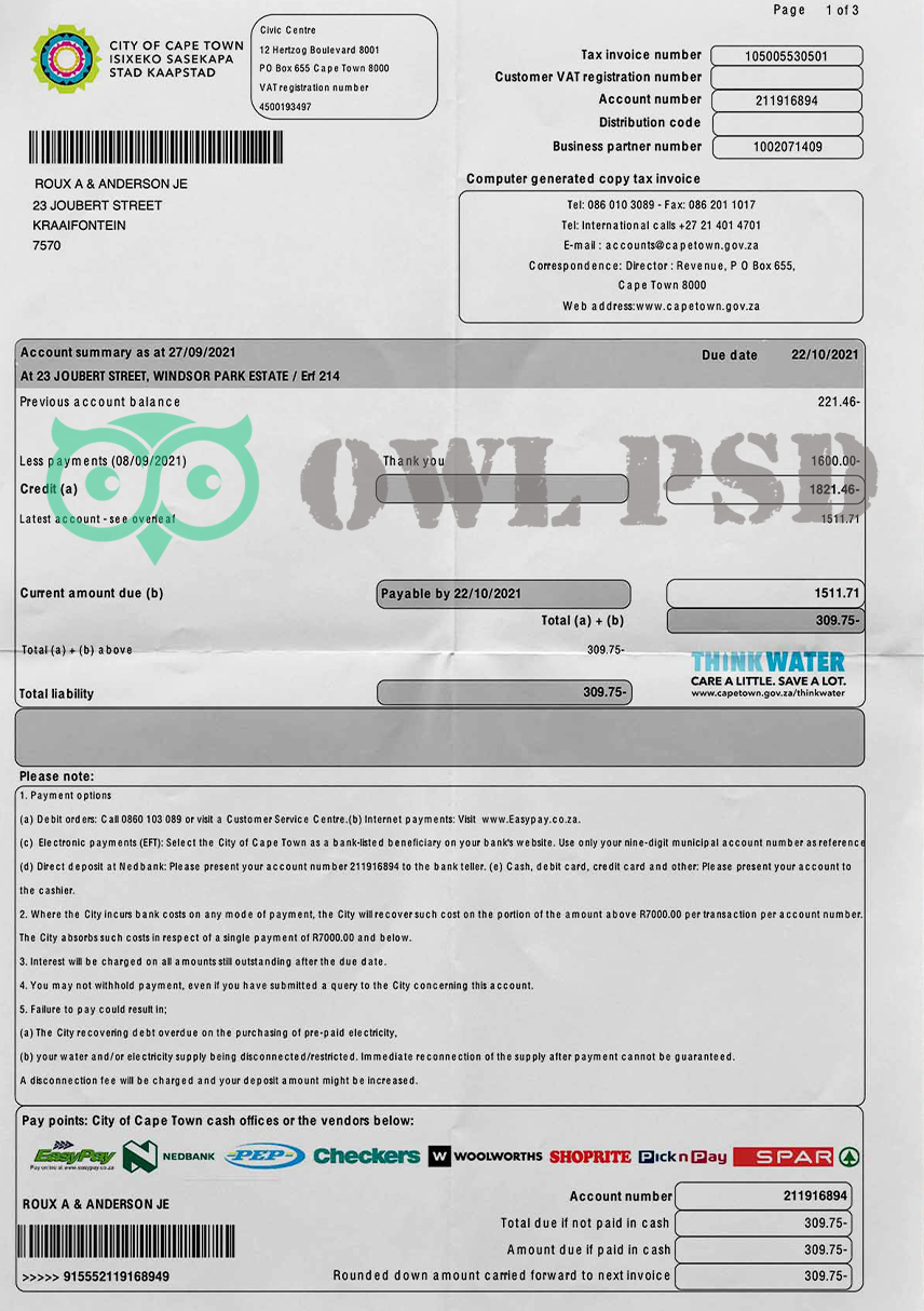 South Africa City of cape town Utility Bill Template preview image 1