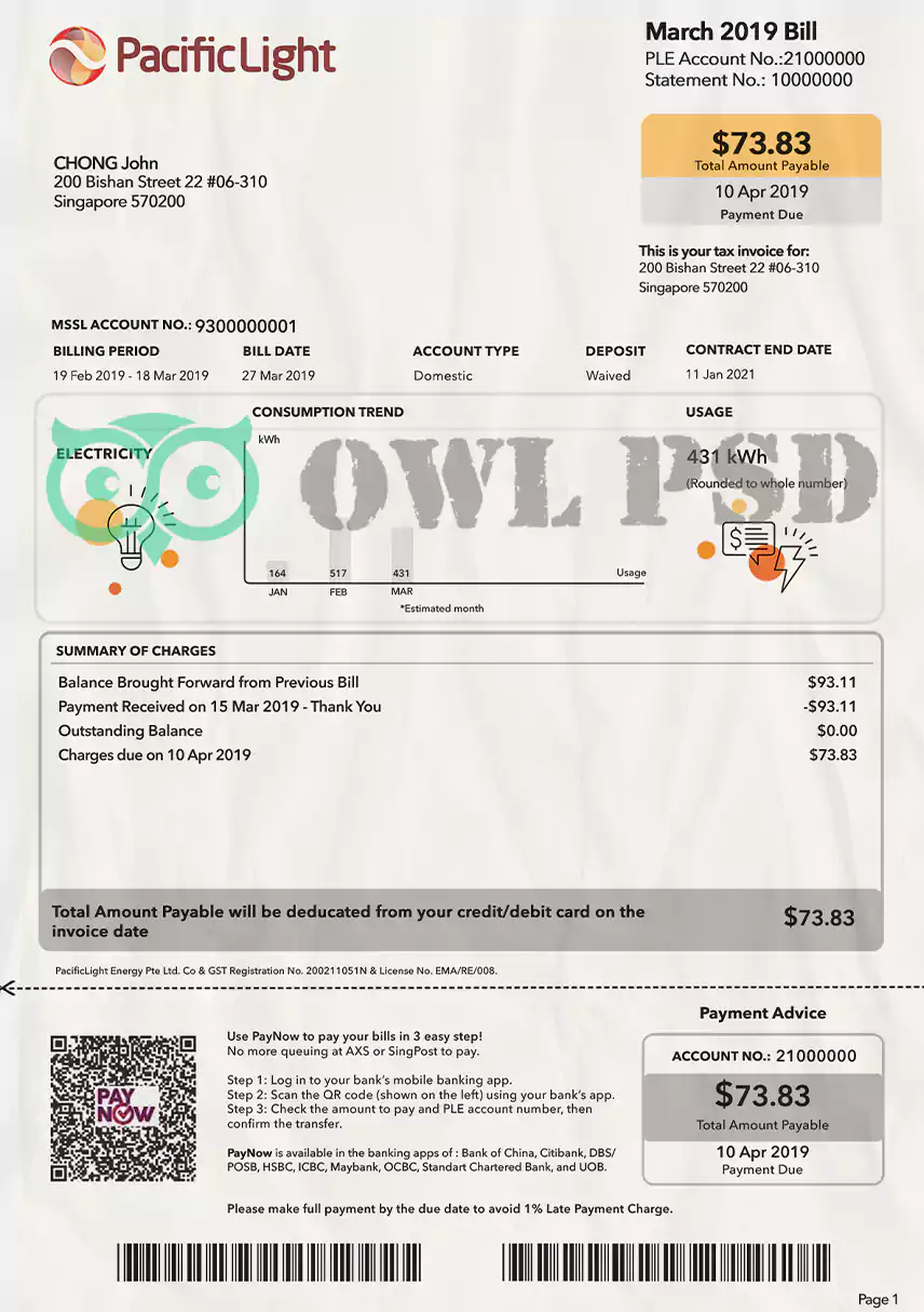 Singapore Electricity Utility Bill Template preview image 1