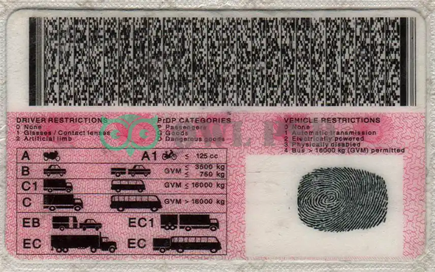 South Africa Driver License Template preview image 2