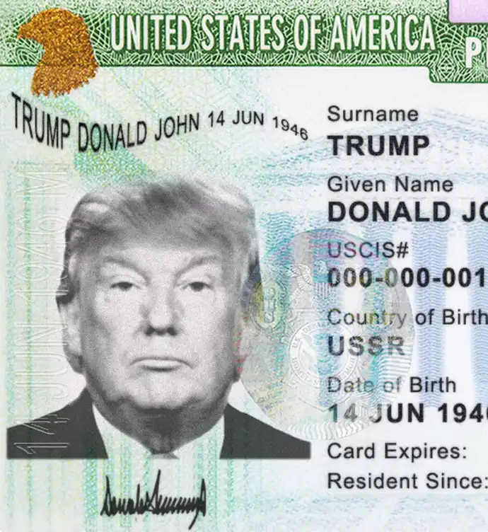 United States Green Card Template 2010 preview image 1