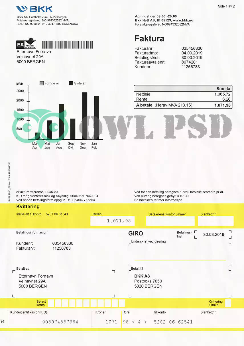 Norway Bkk Utility Bill Template preview image 1