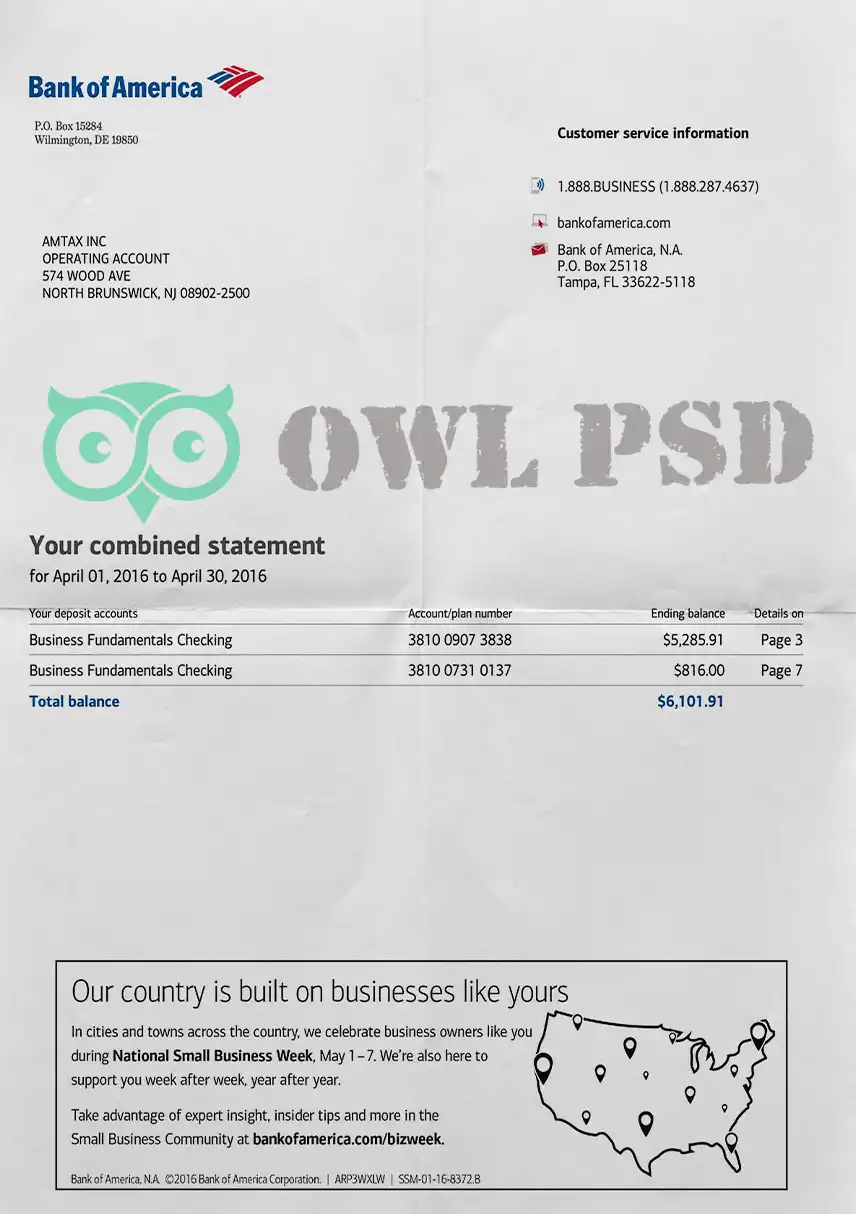 United States Bank of America Statement Template preview image 1