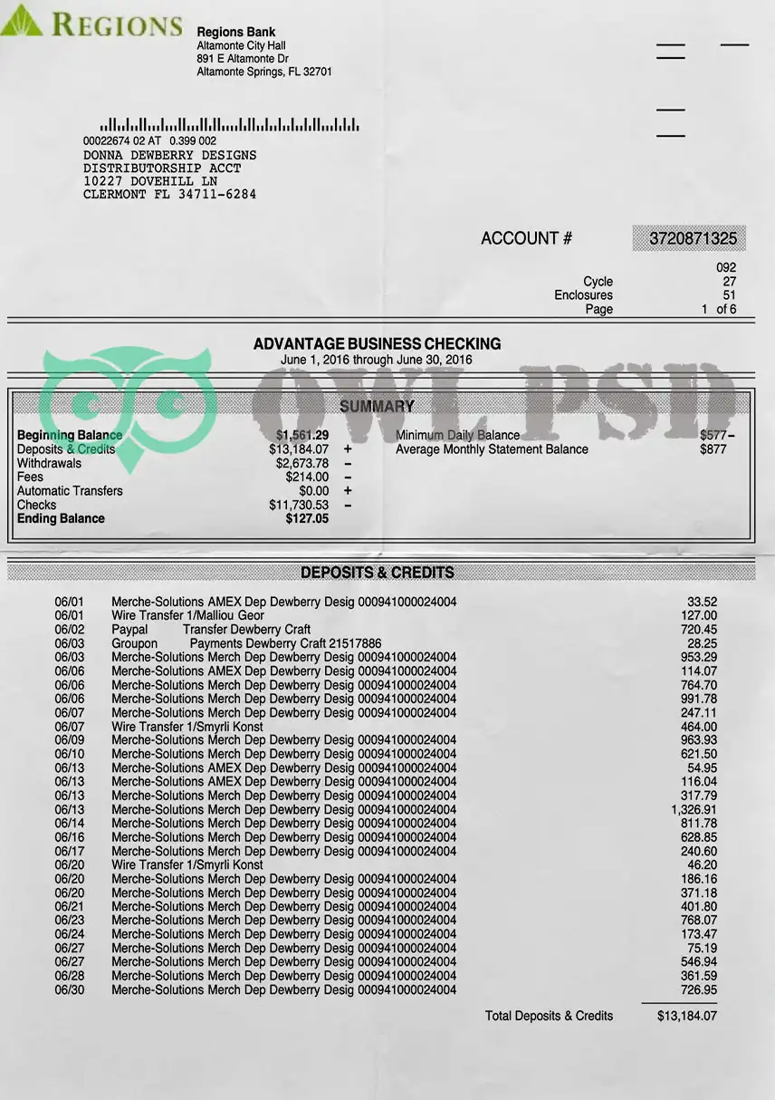 United States Regions Bank Statement Template preview image 1