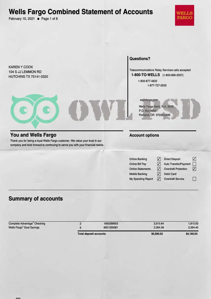 United States Wells Fargo & Company Statement Template preview image 1