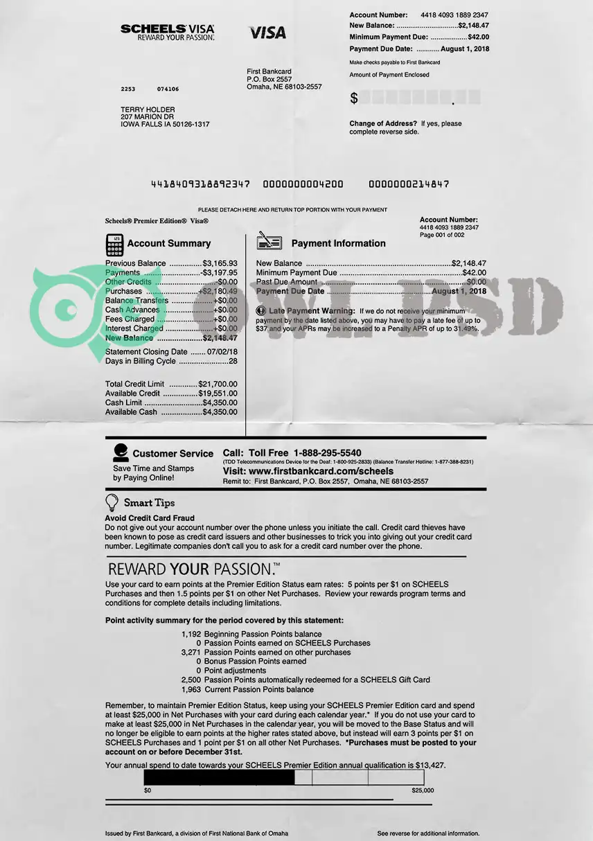 United States Omaha Bank Statement Template preview image 1