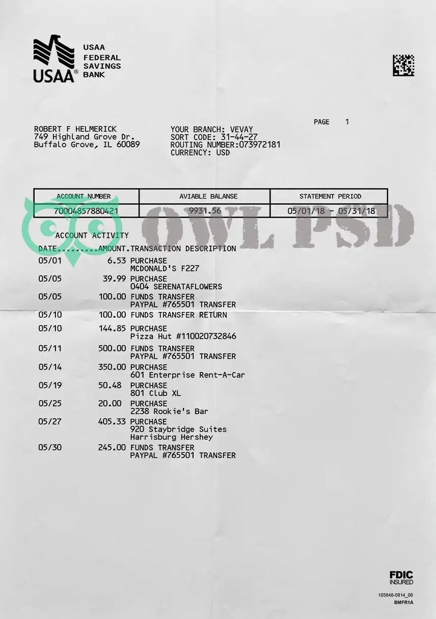 United States USAA Bank Statement Template preview image 1