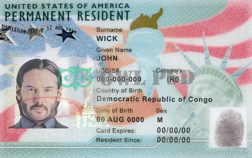 United States Green Card Template 2017 preview image 1
