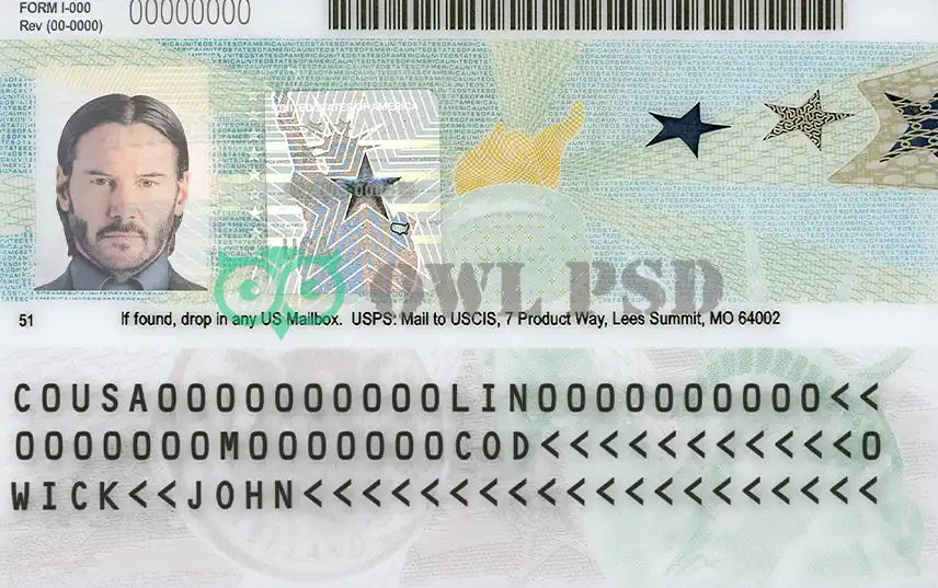 United States Green Card Template 2017 preview image 2