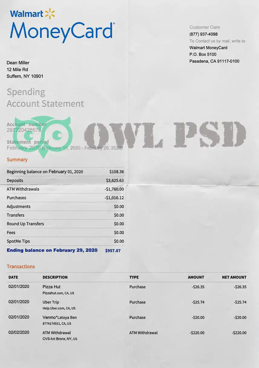 United States Walmart Inc Statement Template preview image 1