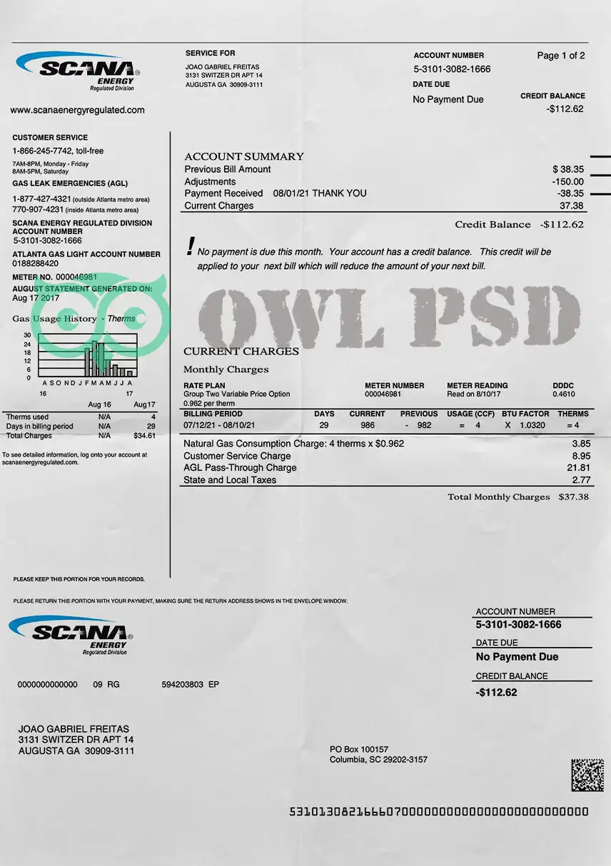 United States SCANA Utility Bill Template preview image 1