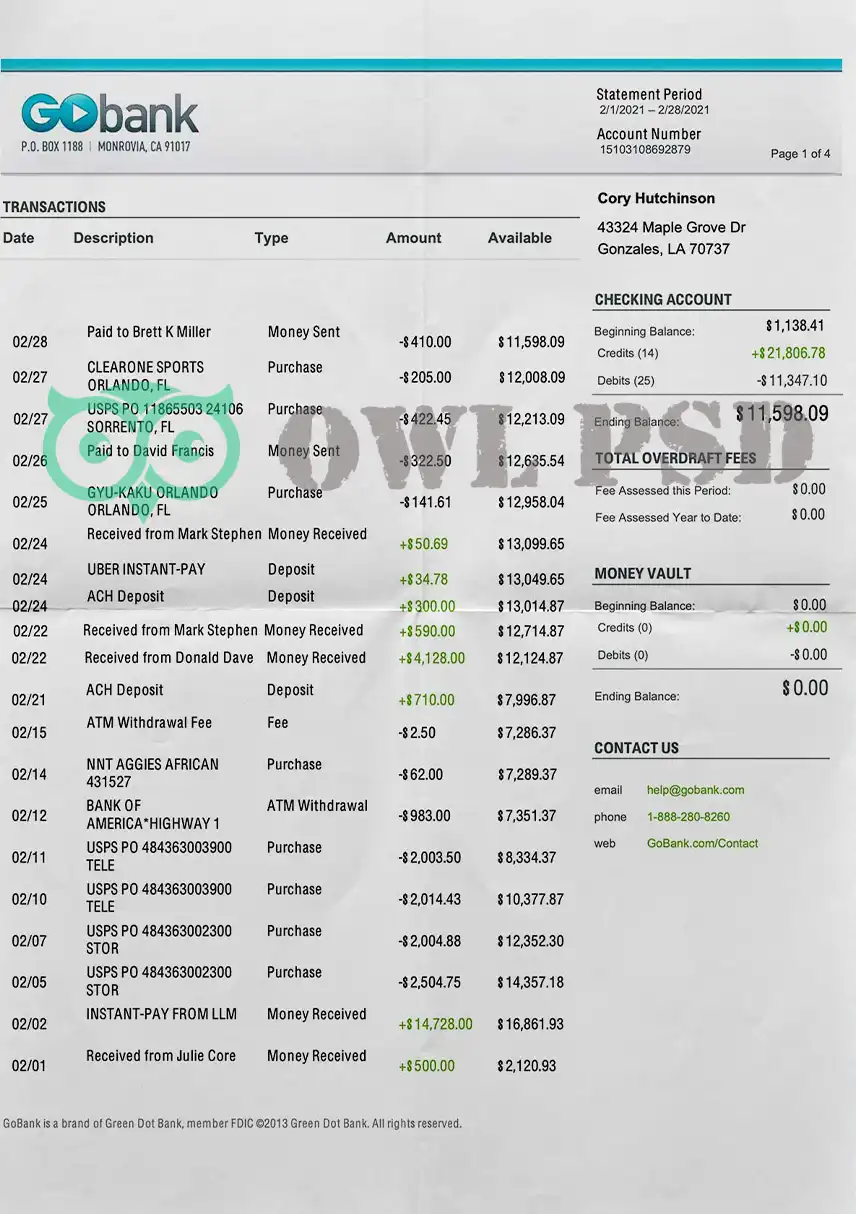 United States Go Bank Statement Template preview image 1