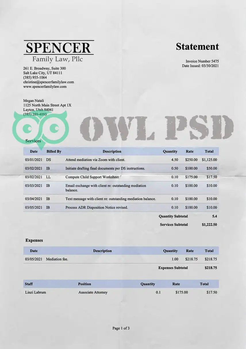 United States Spencer Family Law Statement Template preview image 1