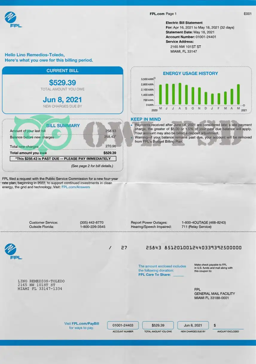 United States FPL Utility Bill Template preview image 1