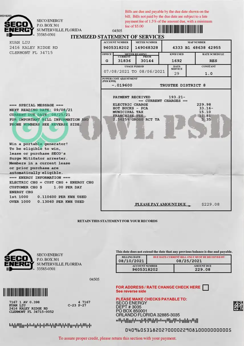 United States SECO Energy Utility Bill Template preview image 1