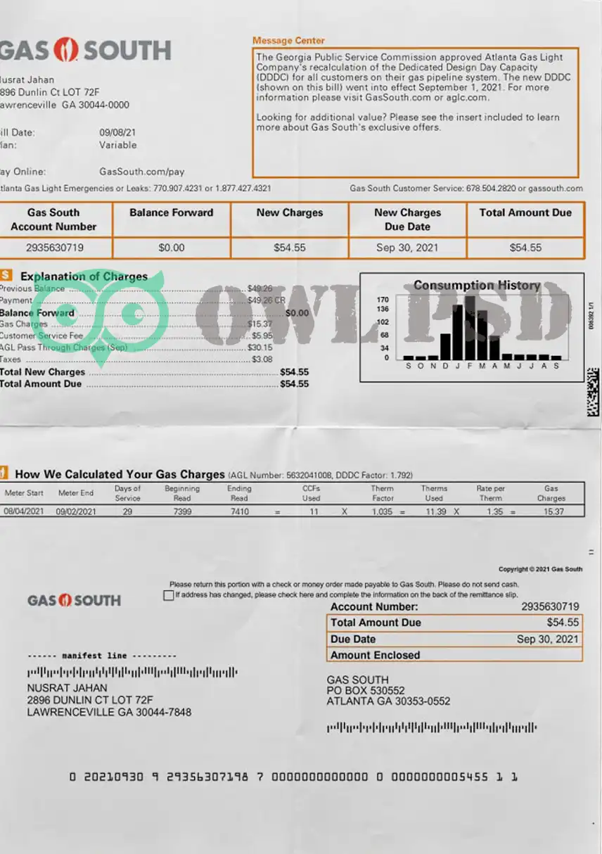 United States Gassouth Utility Bill Template preview image 1