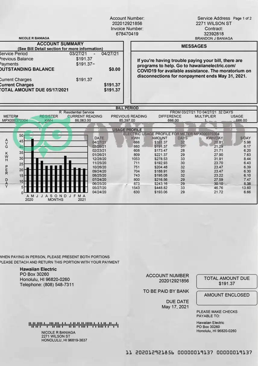 United States Hawaii an Electric Utility Bill Template preview image 1
