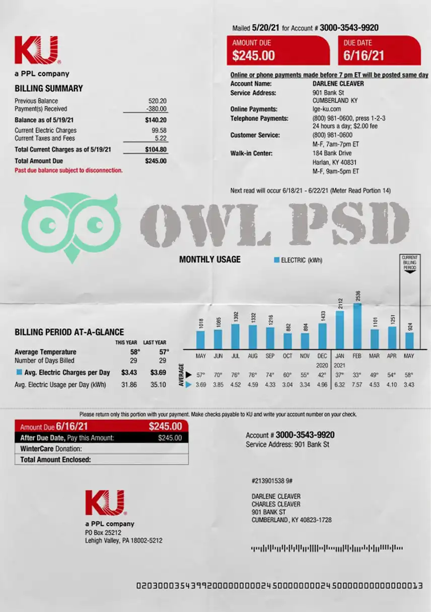 United States LGE Utility Bill Template preview image 1