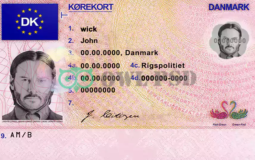 Denmark Driver License Template preview image 1