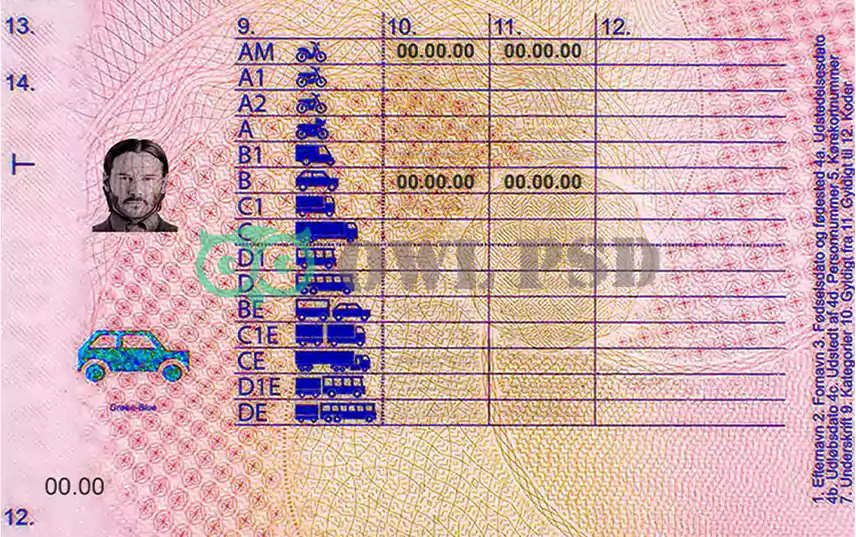 Denmark Driver License Template preview image 2