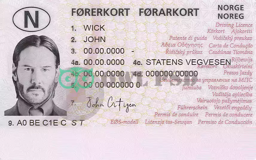 Norway Driver License Template 2013 preview image 1
