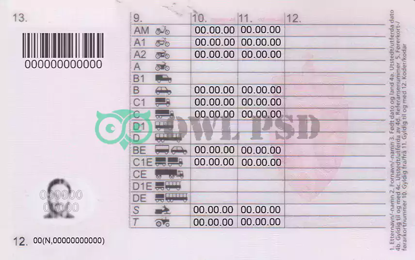 Norway Driver License Template 2013 preview image 2