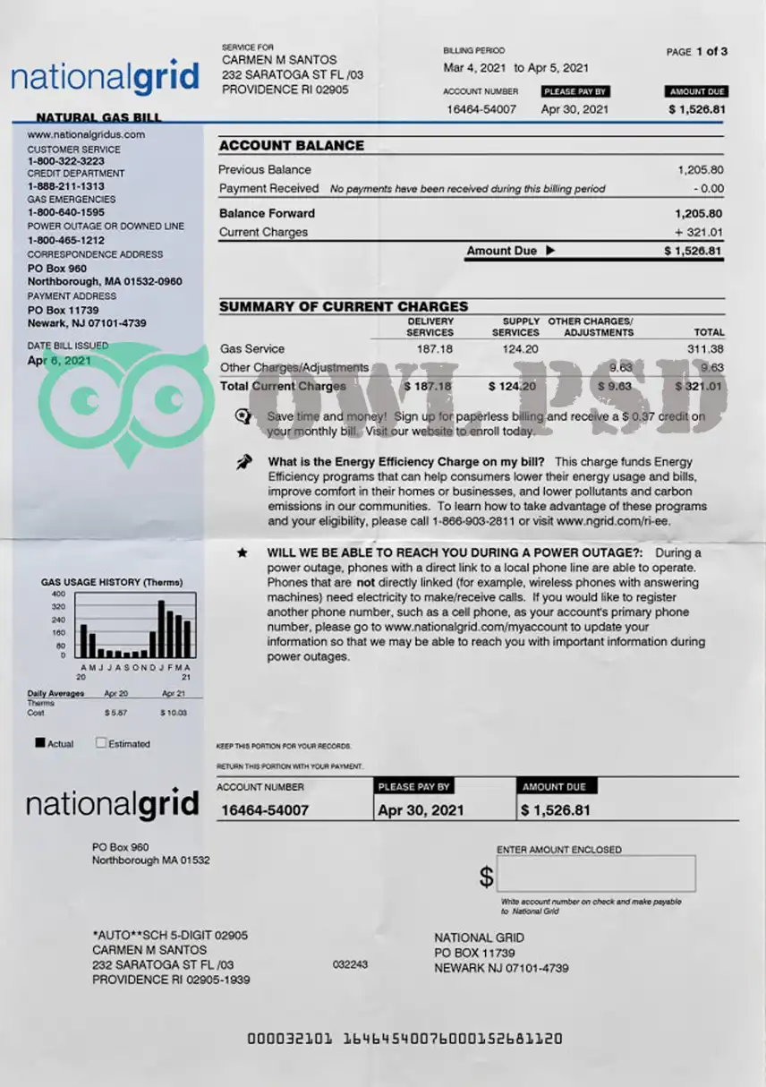 United States Nationalgrid Utility Bill Template preview image 1