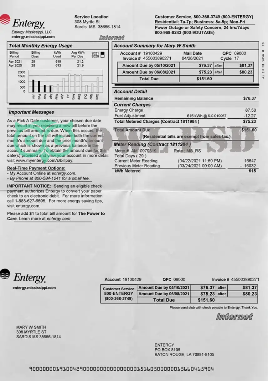 United States Entergy Utility Bill Template preview image 1