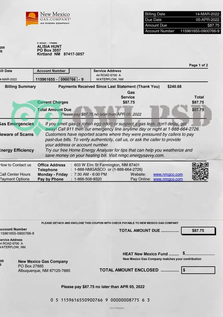 United States NM Gas Utility Bill Template preview image 1