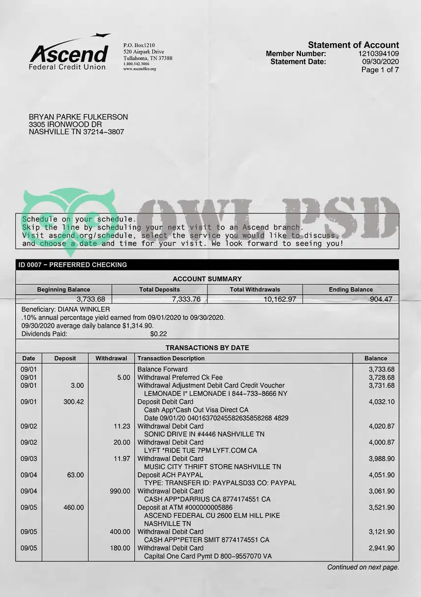 United States Ascend FCU Utility Bill Template preview image 1