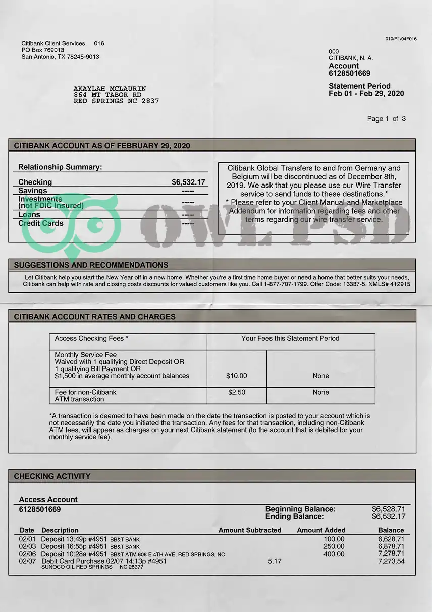 United States Citibank Statement Template preview image 1
