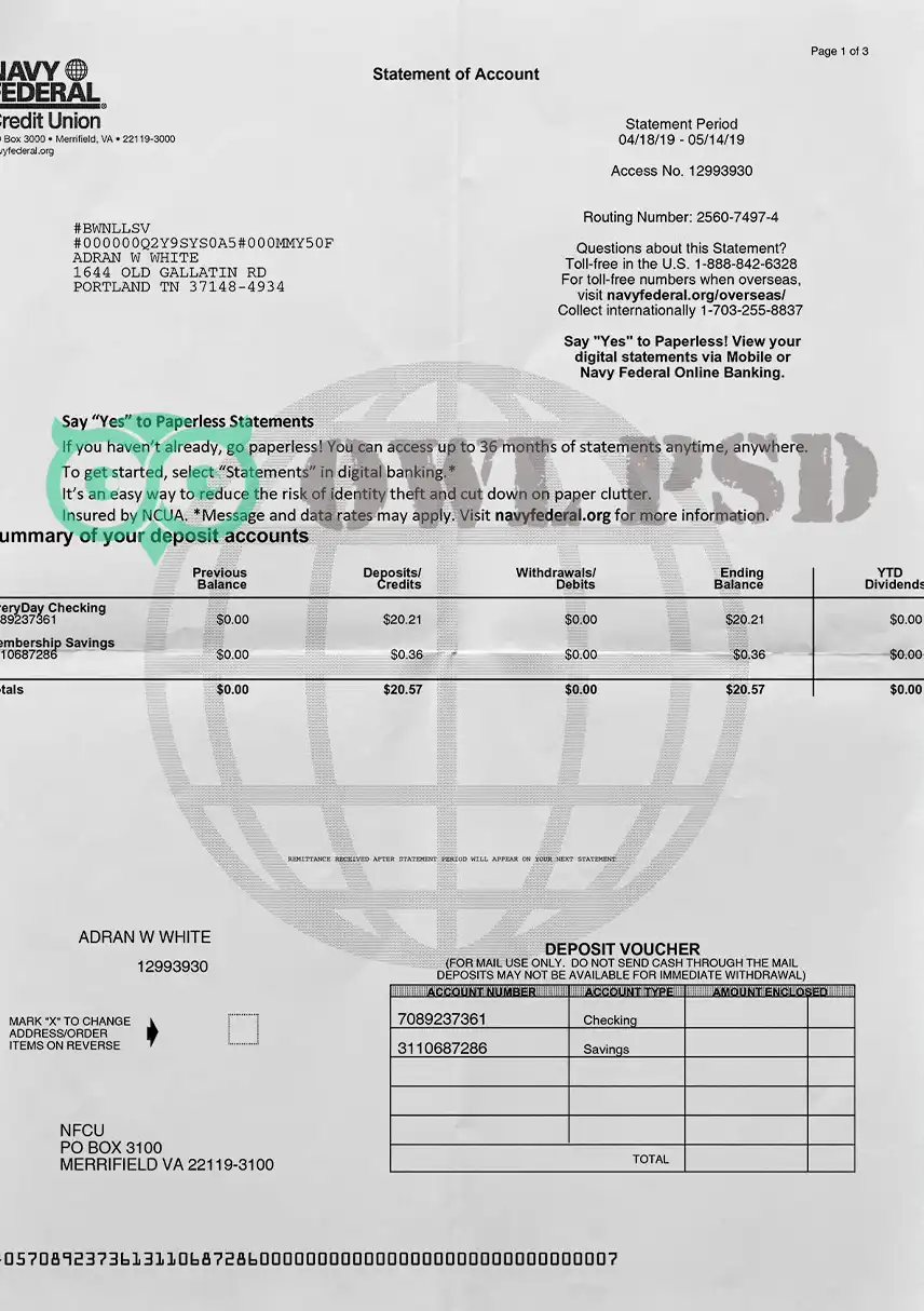 United States Navy Federal Statement Template preview image 1