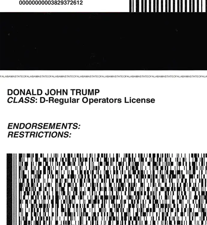 United States (Alabama) Driver License Template preview image 2