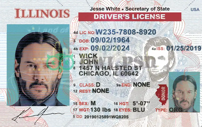 United States (Illinois) Driver License New Template preview image 1