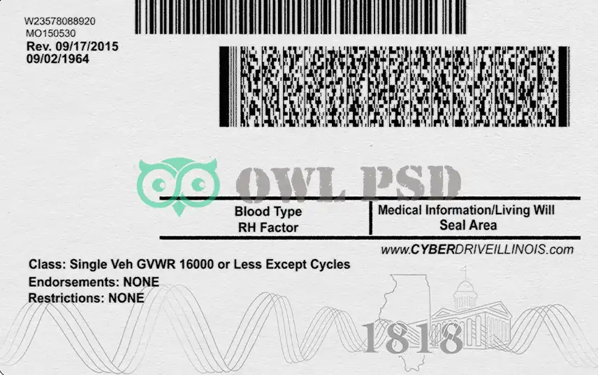 United States (Illinois) Driver License New Template preview image 2