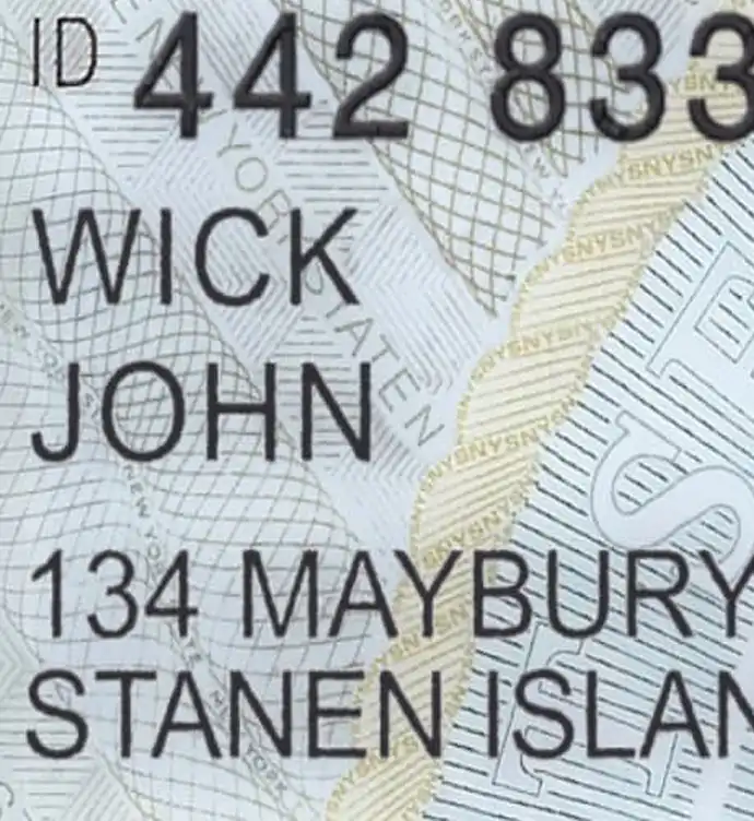 United States (New York) Driver License New Template preview image 2