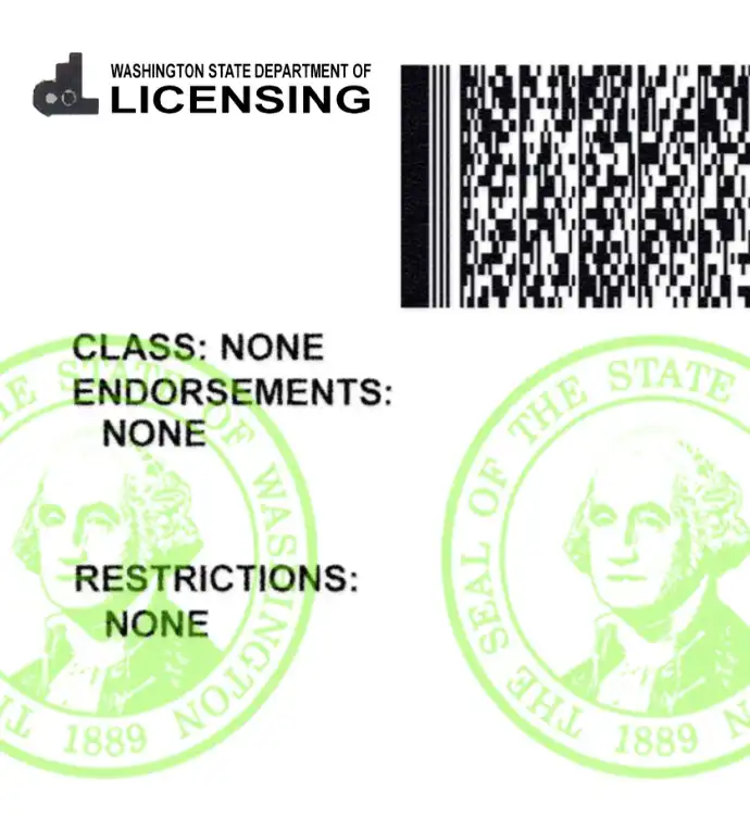 United States (Washington) Driver License New Template preview image 3