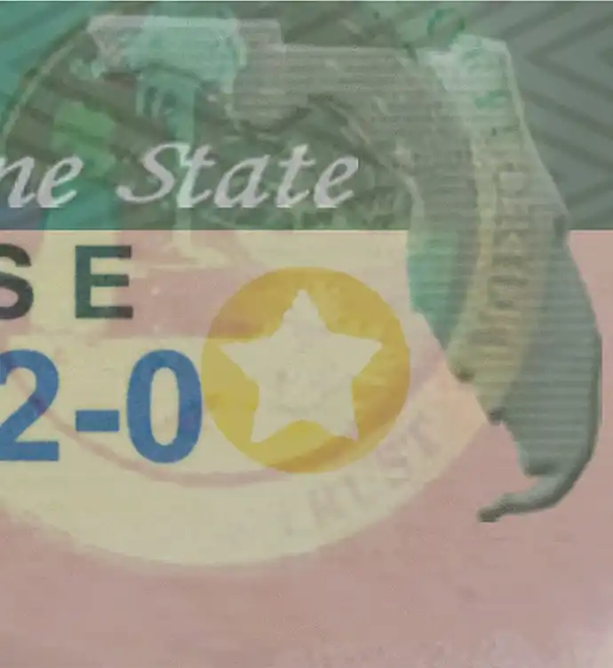 United States (Florida) Driver License Old Template preview image 2