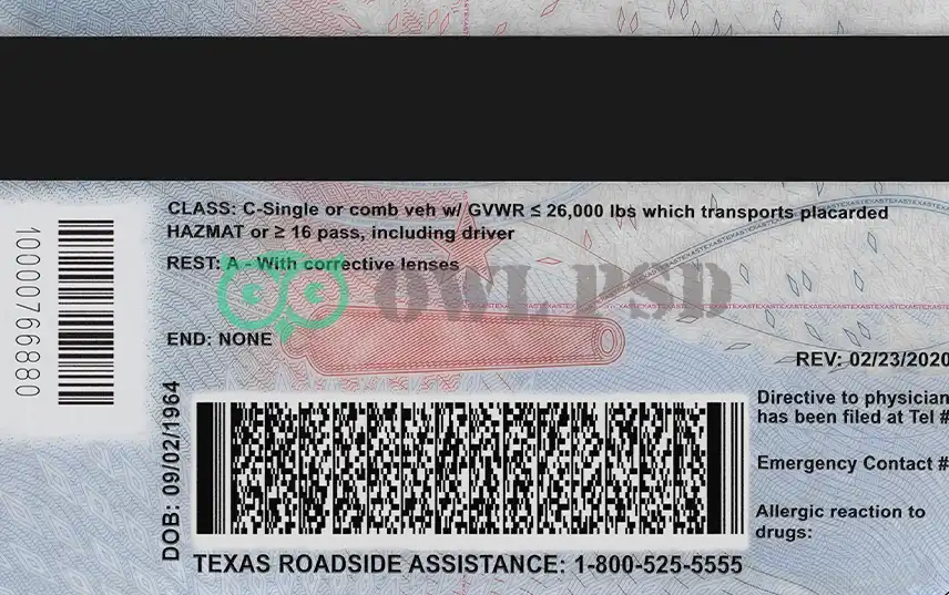 United States (Texas) Driver License New Template preview image 2