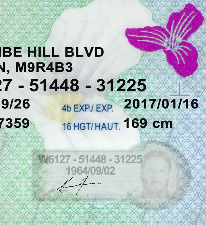 Canada (Ontario) Driver License New Template preview image 2