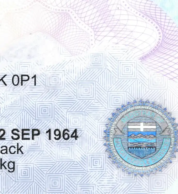 United States (Alberta) Driver License New Template preview image 2