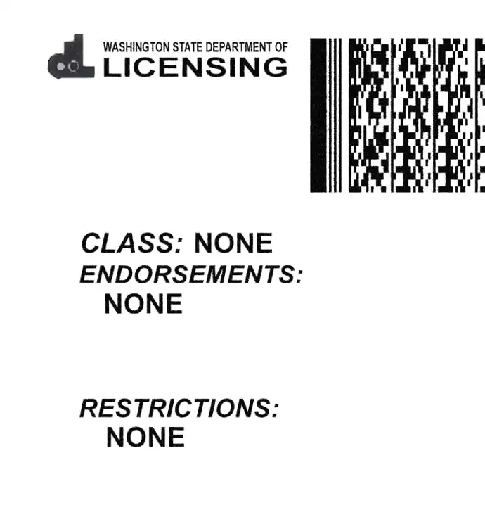 United States (Washington) Driver License Old Template preview image 3