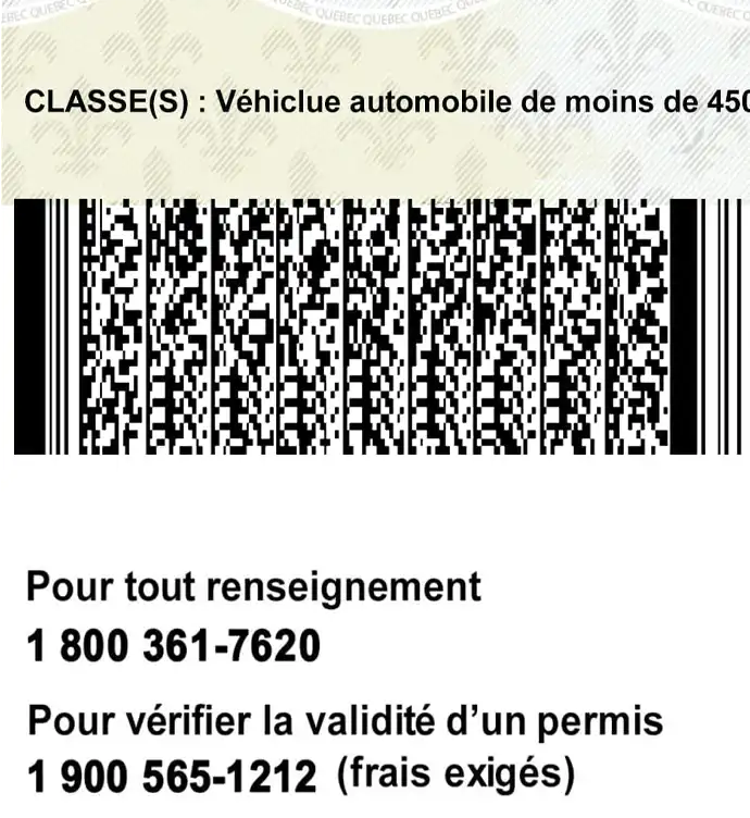 United States (Quebec) Driver License Old Template preview image 3