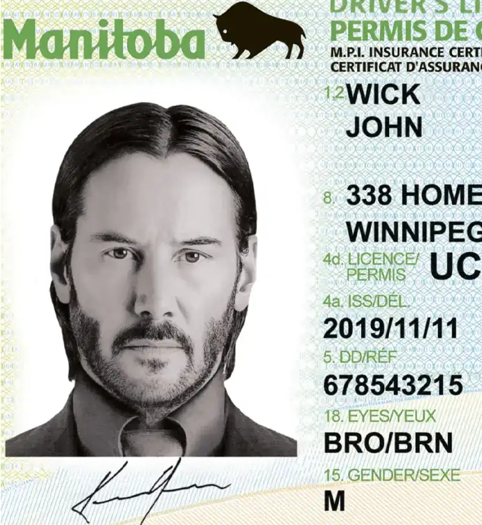 United States (Manitoba) Driver License New Template preview image 1