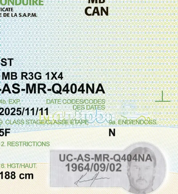 United States (Manitoba) Driver License New Template preview image 2