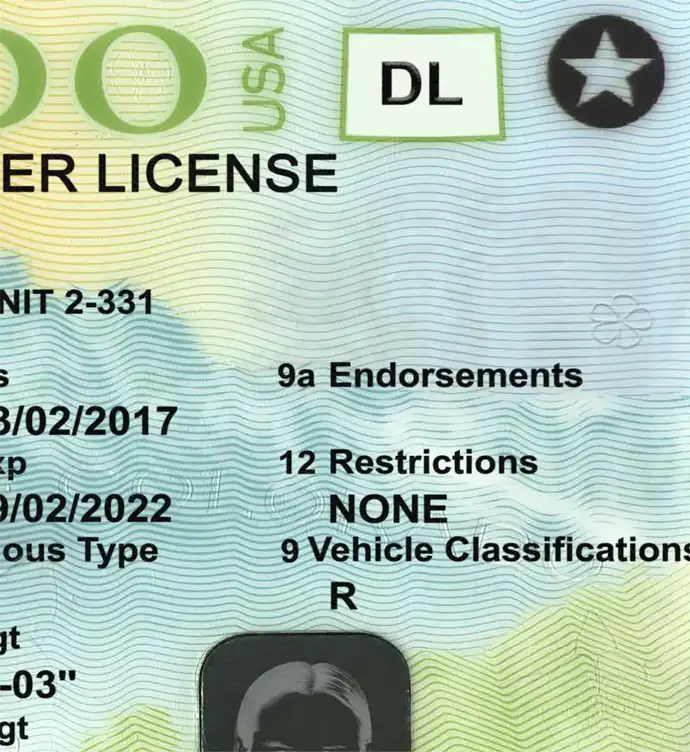 United States (Colorado) Driver License New V1 Template preview image 2