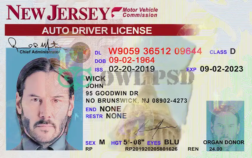 United States (New Jersey) Driver License New Template preview image 1